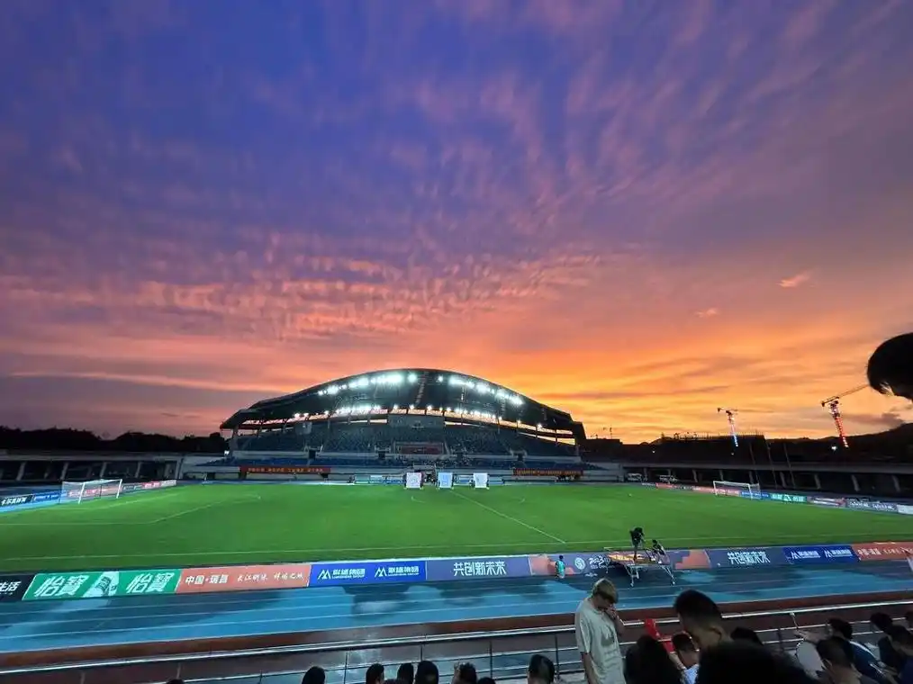 欧洲杯：德国 VS 法国